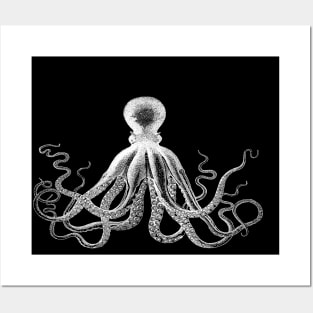 Octopus | Vintage Octopus | Tentacles | Sea Creatures | Nautical | Ocean | Sea | Beach | Black and White | Posters and Art
